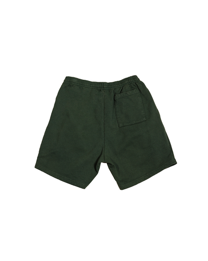 World Is Our Playground Shorts